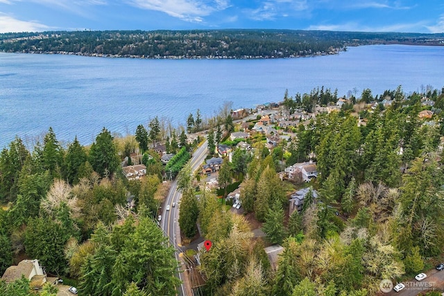 aerial view featuring a water view and a view of trees