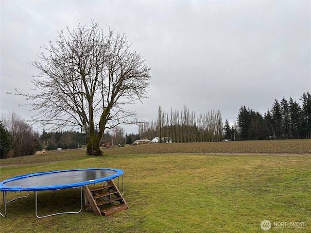 view of yard with a trampoline