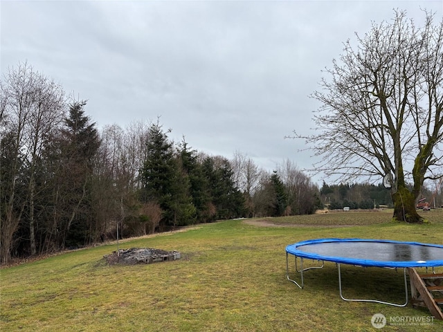 view of yard with a trampoline