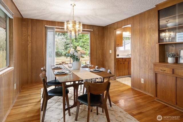 dining space with light wood-style flooring, wooden walls, and a wealth of natural light