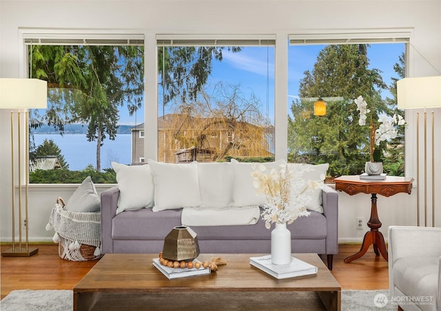 living room with wood finished floors