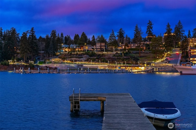 dock area with a water view