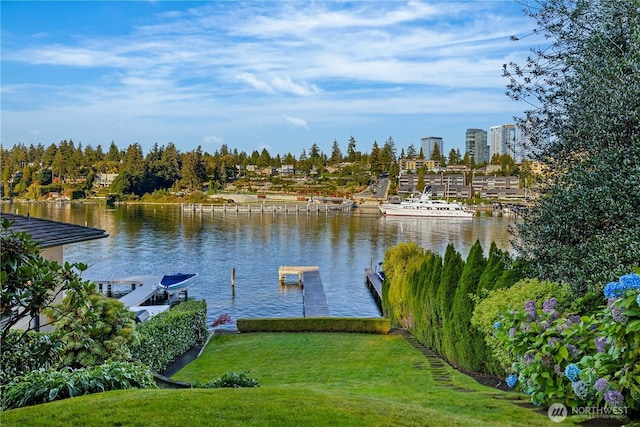 9330 SE Shoreland Dr, Bellevue, WA 98004 - water view