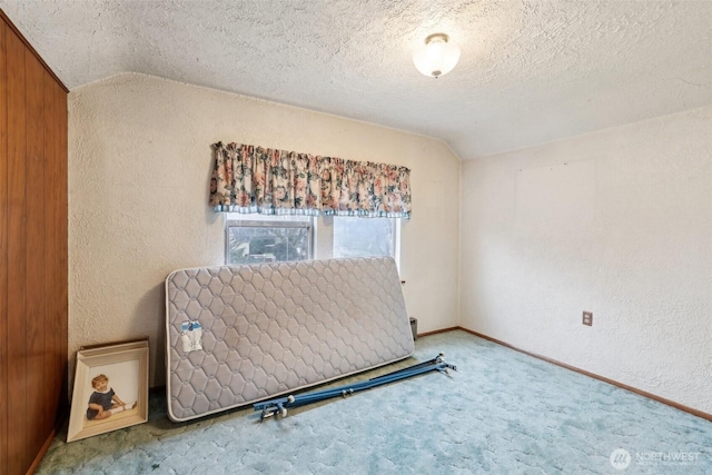 carpeted empty room featuring lofted ceiling, a textured ceiling, and a textured wall