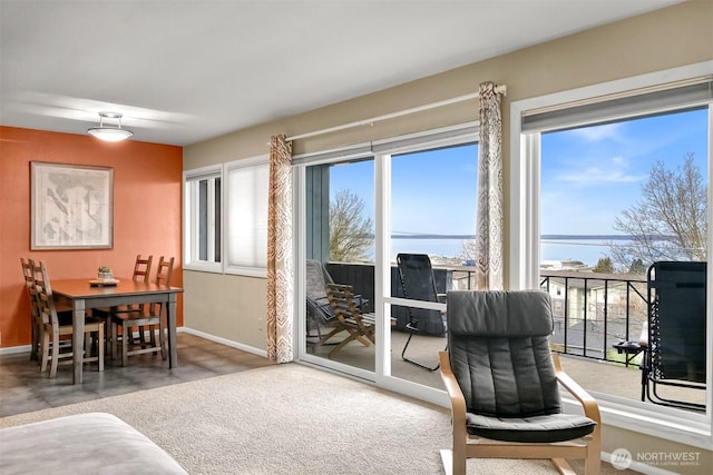 interior space with baseboards and carpet flooring