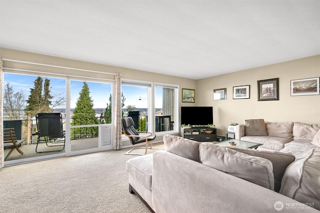 living room featuring light carpet