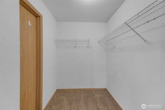 walk in closet featuring carpet flooring