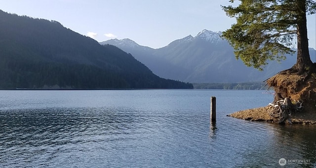 151 N Quinault Pl, Hoodsport, WA 98548
