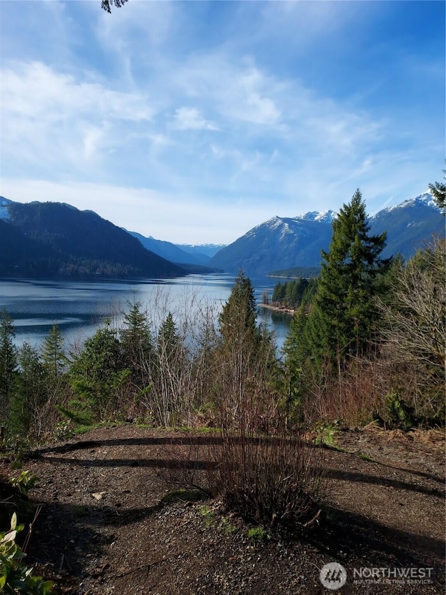 151 N Quinault Pl, Hoodsport, WA 98548