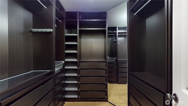 walk in closet with light colored carpet