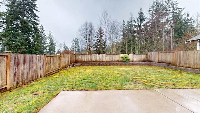 view of yard featuring a patio and a fenced backyard