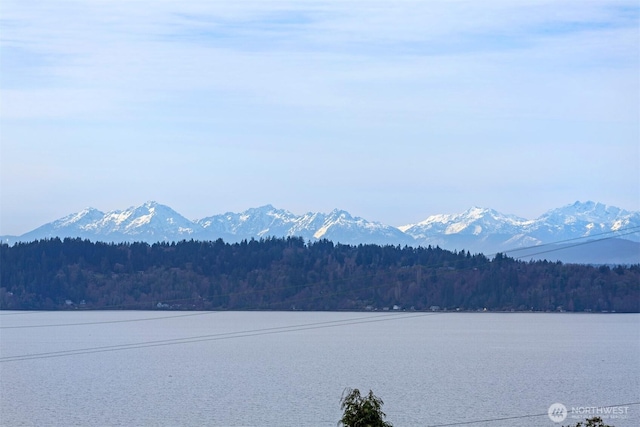 property view of water with a forest view and a mountain view