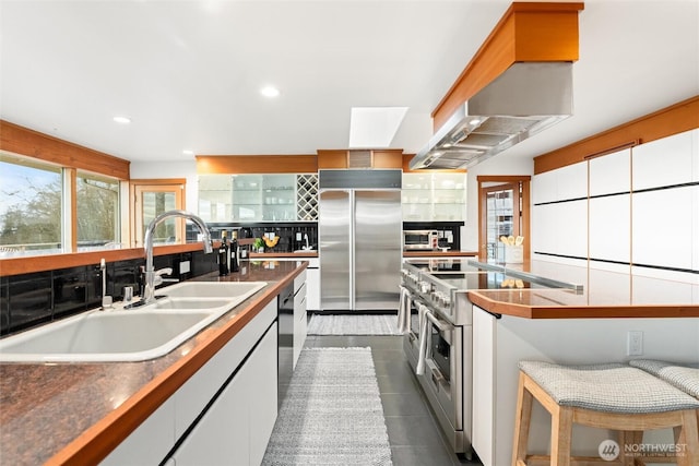 kitchen with white cabinets, extractor fan, high end appliances, and a sink