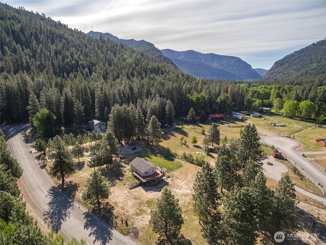 17353 Jenne Dr, Entiat, WA 98822 - aerial view of a forest and mountains