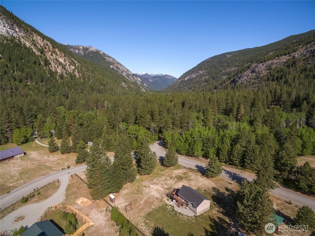 17353 Jenne Dr, Entiat, WA 98822 - view of property location featuring a forest and a mountain backdrop
