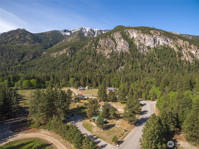 17353 Jenne Dr, Entiat, WA 98822 - mountain view with a heavily wooded area