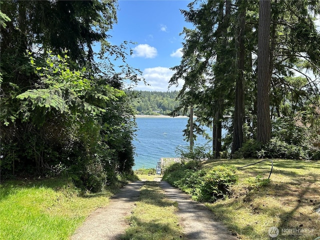 water view featuring a view of trees