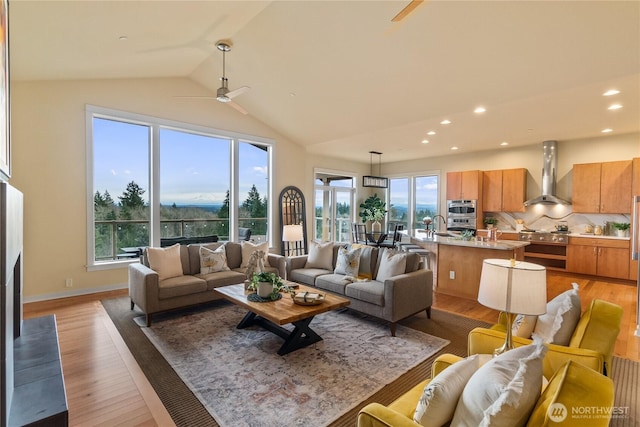 living area featuring a healthy amount of sunlight, vaulted ceiling, and light wood finished floors