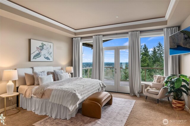 bedroom with a raised ceiling, access to outside, crown molding, and carpet floors