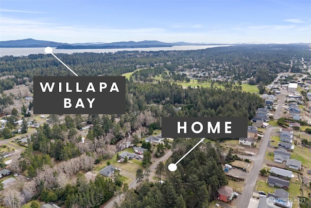 birds eye view of property featuring a forest view and a water and mountain view