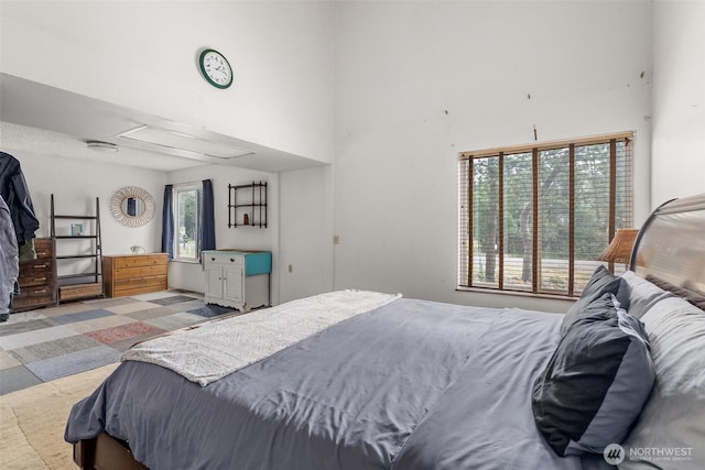 bedroom featuring carpet and a high ceiling