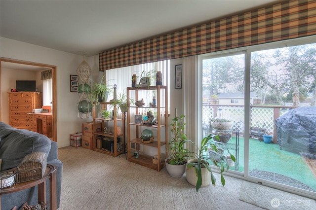 interior space featuring carpet floors