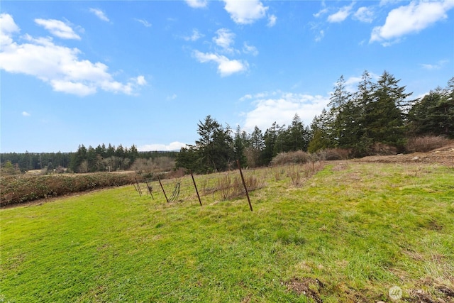 view of yard featuring a rural view