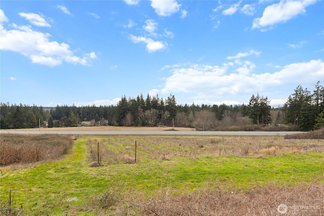 view of yard featuring a wooded view