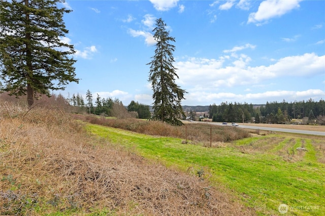 view of road with a rural view