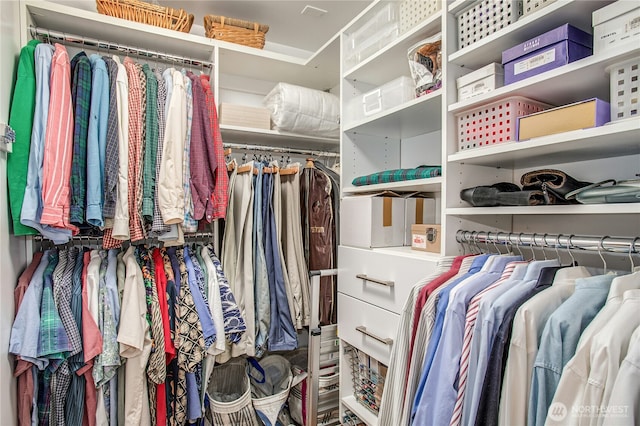 view of spacious closet