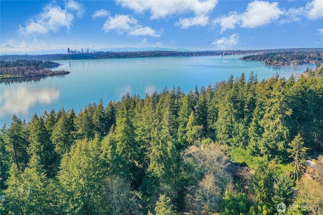 bird's eye view with a water view and a wooded view