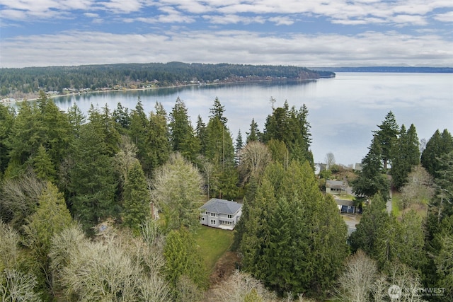 drone / aerial view featuring a water view and a forest view