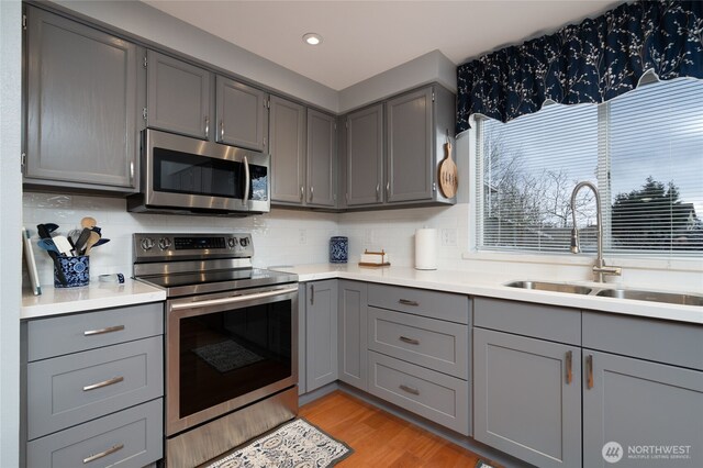 kitchen featuring appliances with stainless steel finishes, gray cabinets, a sink, and light wood-style flooring