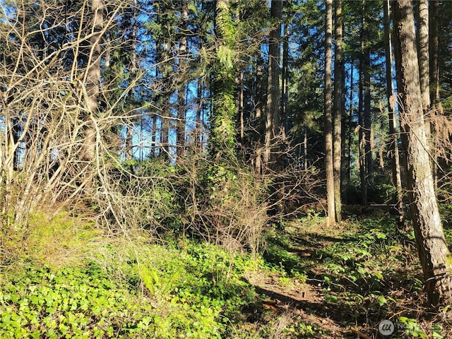 13807 Pinehurst Ln NW, Gig Harbor, WA 98329 - photo 5
