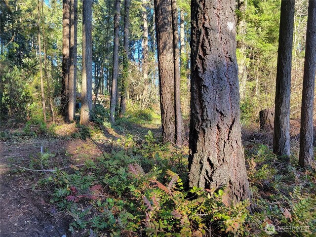 13807 Pinehurst Ln NW, Gig Harbor, WA 98329 - photo 4