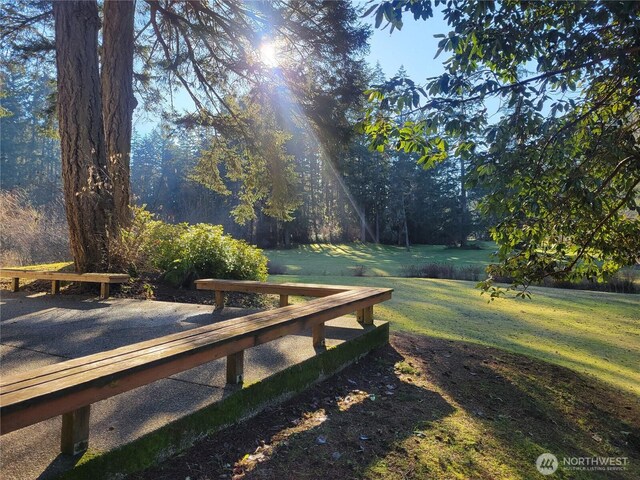 13807 Pinehurst Ln NW, Gig Harbor, WA 98329 - photo 12