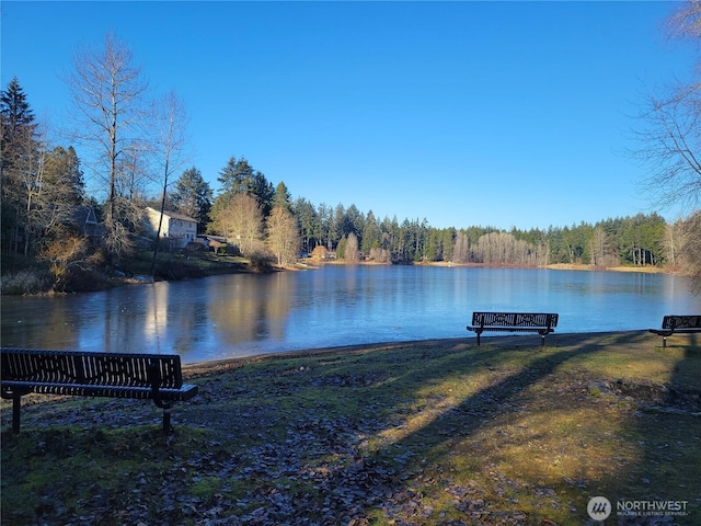 13807 Pinehurst Ln NW, Gig Harbor, WA 98329 - photo 14
