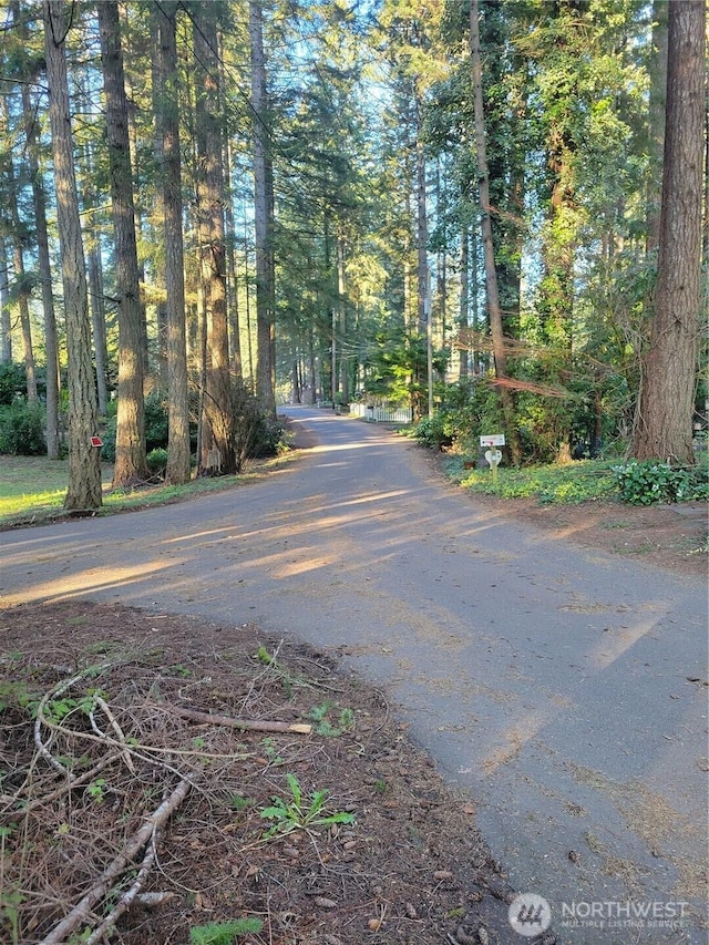 13807 Pinehurst Ln NW, Gig Harbor, WA 98329 - photo 10