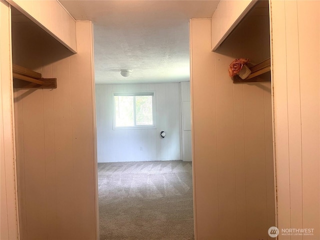 interior space featuring a textured ceiling and carpet flooring