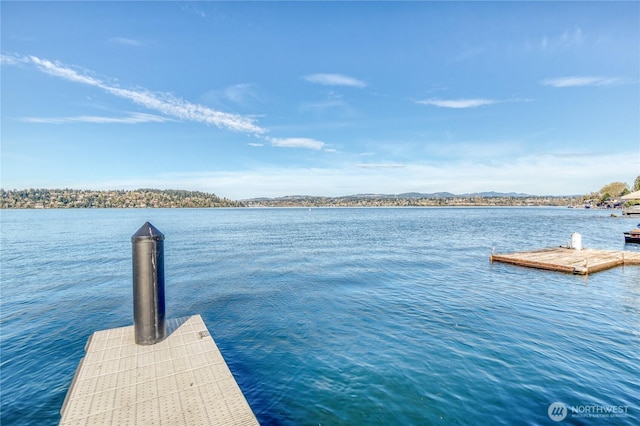 10008 Rainier Ave S, Seattle, WA 98178 - view of dock with a water and mountain view