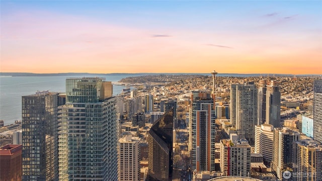 view of city featuring a water view