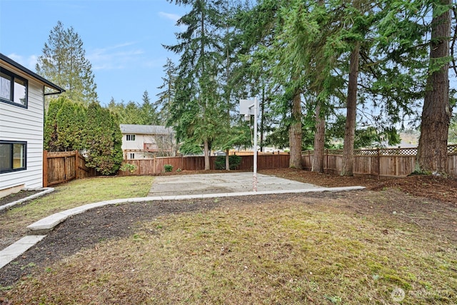 view of yard with a patio and a fenced backyard