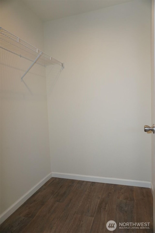 spacious closet featuring dark wood-style floors