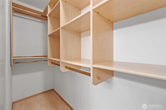 walk in closet featuring wood finished floors