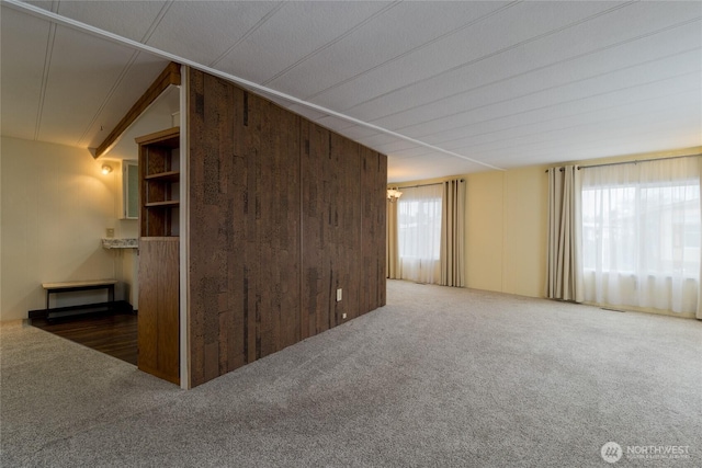 interior space with vaulted ceiling and wood walls