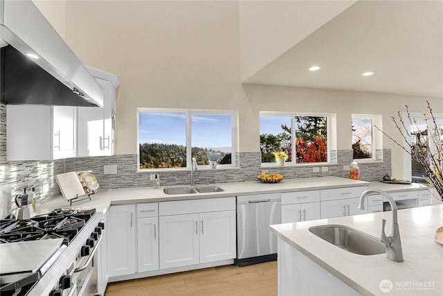 kitchen featuring wall chimney range hood, white cabinetry, stainless steel appliances, and a sink