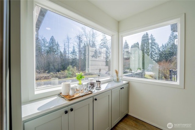 interior space featuring dark wood-style flooring and a wealth of natural light