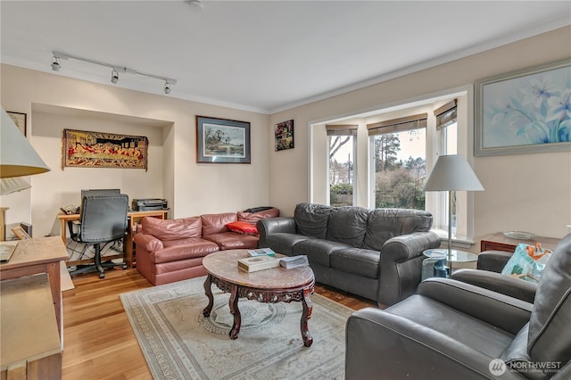 living room with light wood-style flooring