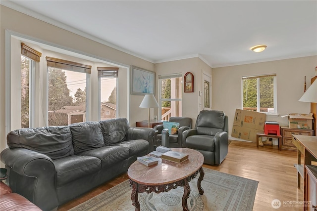 living area featuring light wood finished floors and ornamental molding