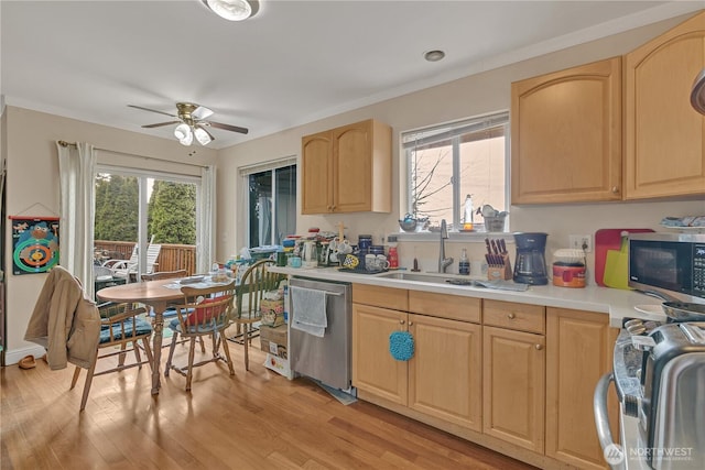 kitchen featuring stainless steel appliances, light brown cabinets, and a wealth of natural light